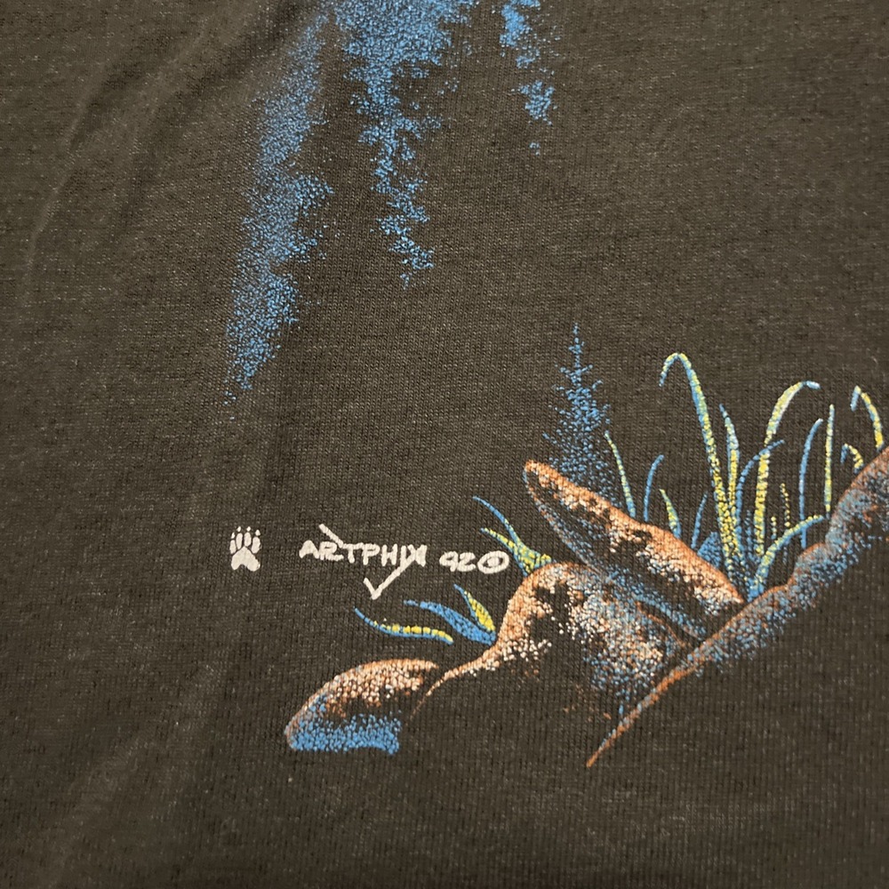 Screen Stars Black Eagle Graphic T-Shirt - Picture 4 of 16